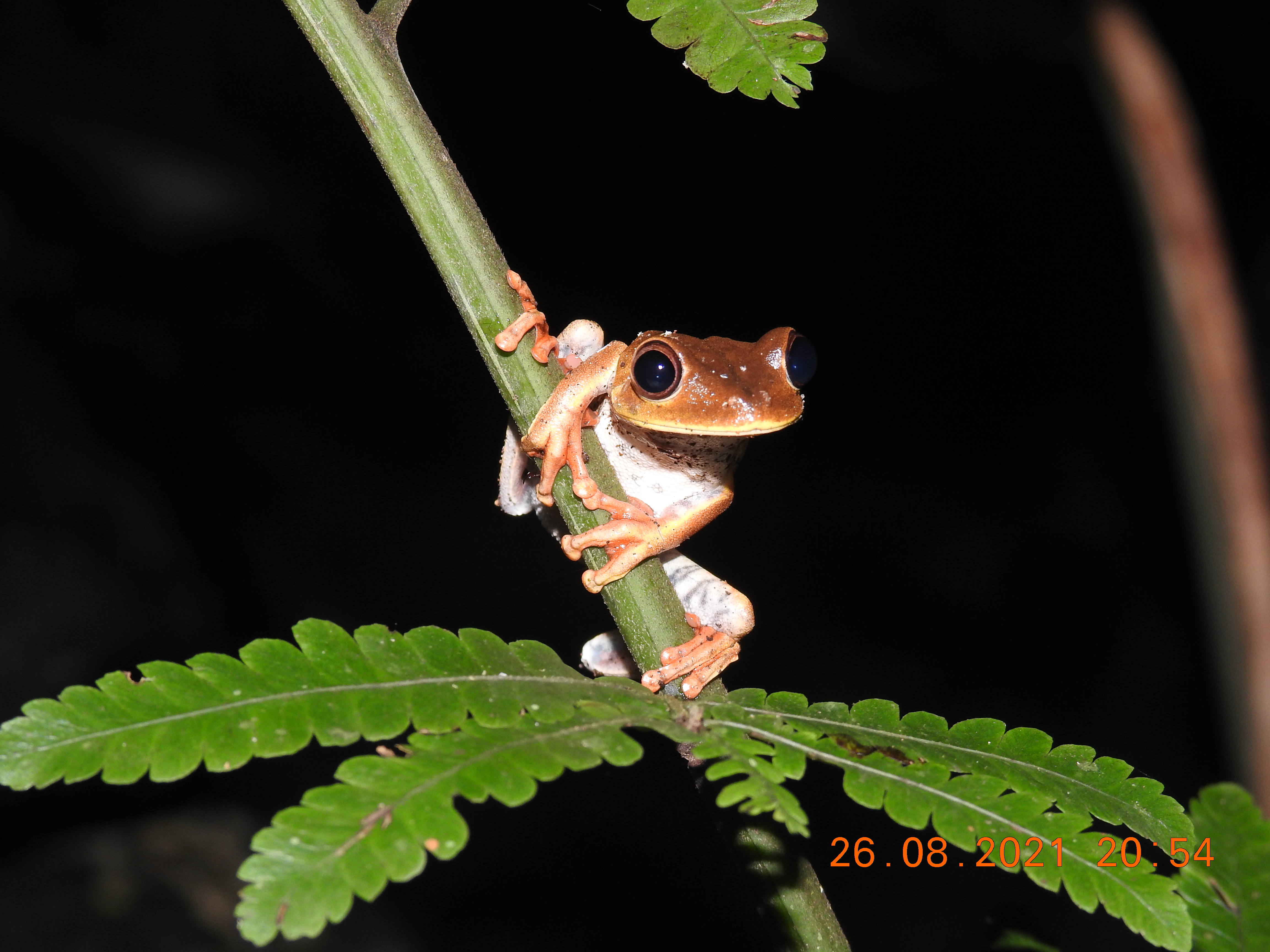 DSCN7136.JPG
